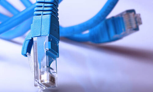 Two network rj45 plugins closeup