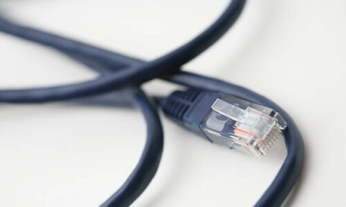 A blue ethernet cable.